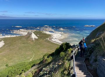 new-zealand/kaikoura/attraction/seal-beach