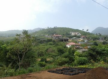 sierra-leone/tacugama-chimpanzee-sanctuary/attraction/western-area-national-park