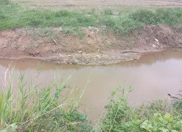 sri-lanka/gampaha-district/attraction/kotu-ela