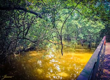 singapore/labrador-nature-reserve/attraction/berlayer-creek-boardwalk