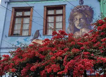 Tour del Graffiti Valparaiso