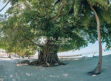 maldives/huraa/attraction/nikagas-beach