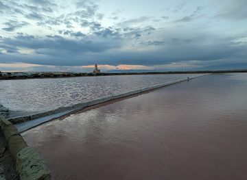 spain/cabo-de-gata/attraction/balsas-de-flor-de-sal-de-la-fabriquilla