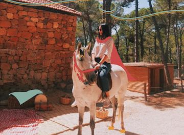 lebanon/hasbaya/attraction/retrovillage