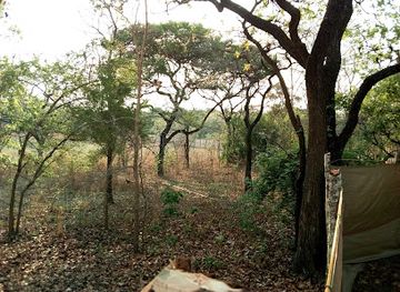 zambia/south-luangwa-national-park/attraction/lavushi-manda-national-park