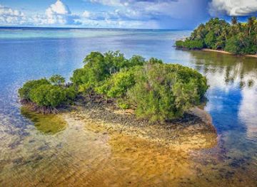 micronesia/yap/attraction/gilfith-youth-park-tane-aw