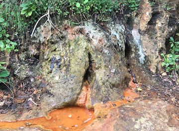 saint-lucia/anse-la-raye/attraction/natural-mineral-spring