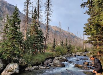 montana/beartooth-highway/attraction/west-fork-rock-creek-trailhead
