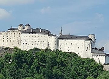austria/salzburg/attraction/universitat-salzburg-botanical-garden