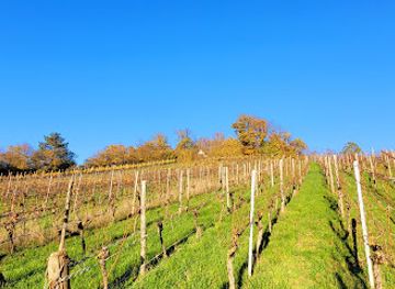 germany/altbayern/attraction/huthausle