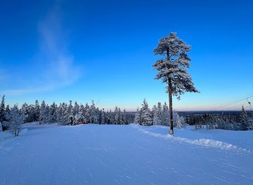 sweden/lindvallen/attraction/falkens-liftar