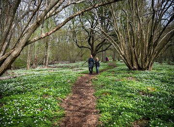 sweden/halland/attraction/bengtesgards-ang