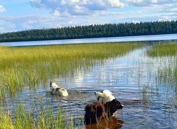 finland/riisitunturi-national-park/attraction/o-nordic
