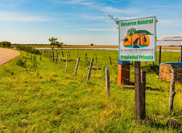 colombia/los-llanos/attraction/reserva-natural-el-encanto-de-guanapalo