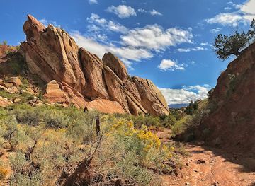 utah/uinta-mountains/attraction/fossil-discovery-trail
