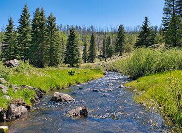 arizona/white-mountains/attraction/thompson-trail-629