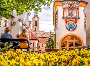 hungary/szekesfehervar/attraction/kovacs-jeno-oramuzeum-es-orajatek