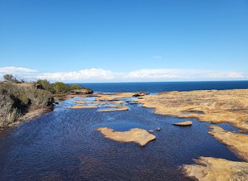 australia/illawarra/attraction/curra-moors-loop-track