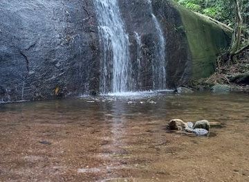 brazil/rio-de-janeiro/attraction/acesso-a-cachoeira-dos-primatas-e-a-trilha-transcarioca-450-metros
