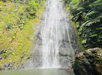 french-polynesia/tahiti/attraction/afareaitu-waterfall