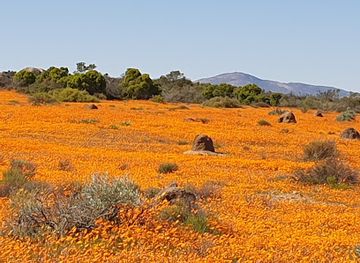 Namaqua National Park