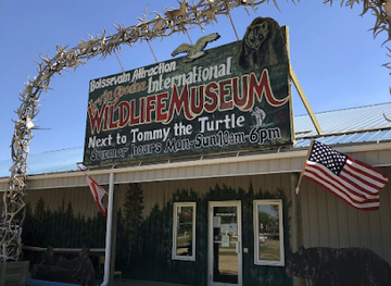 canada/western-manitoba/attraction/irvin-goodon-international-wildlife-museum