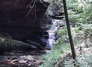 alabama/sipsey-wilderness/attraction/mize-mills-falls-trailhead