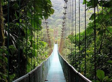 costa-rica/monteverde/attraction/montetours-costa-rica