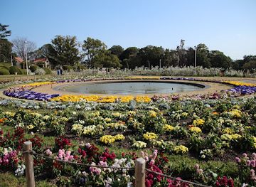 japan/settsu/attraction/hattori-ryokuchi-park