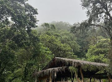 ecuador/mindo-cloud-forest/attraction/hayulima-ayahuasca-and-plant-medicine-retreats