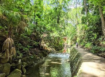 japan/tokyo/attraction/todoroki-ravine-park