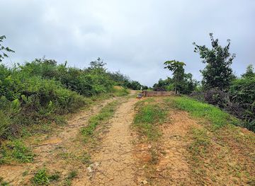 malaysia/pahang/attraction/bukit-peninjau