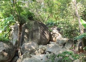 mexico/acapulco/attraction/acapulco-botanical-garden