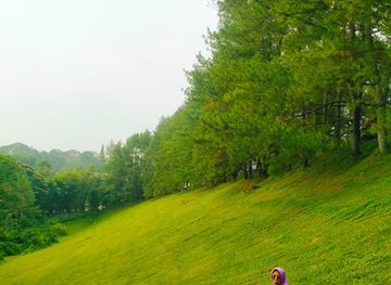 indonesia/bandung/setiabudi/attraction/pondok-hijau-setiabudi-bandung