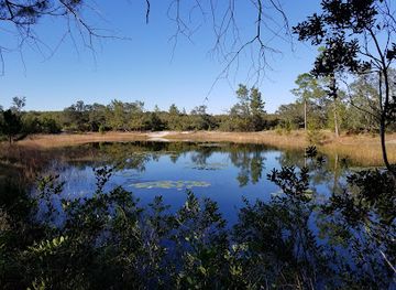 florida/ocala-national-forest/attraction/juniper-prairie-wilderness
