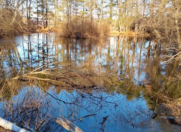 massachusetts/south-shore/attraction/mass-audubon-s-habitat-education-center-and-wildlife-sanctuary