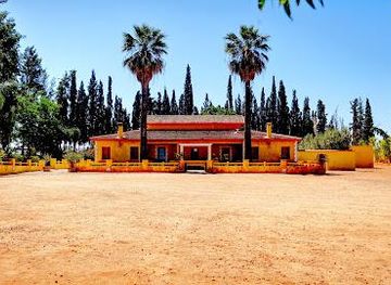 morocco/meknes/attraction/villa-volubilia