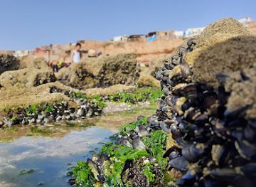 morocco/souss-massa/attraction/sidi-toual-beach