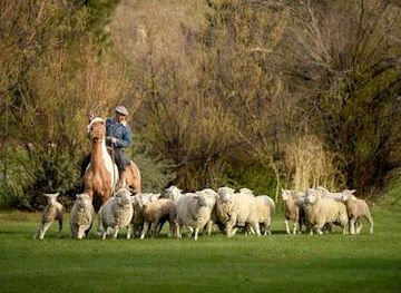 argentina/el-calafate/attraction/estancia-25-de-mayo