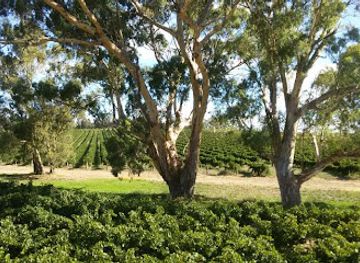 australia/barossa-valley/attraction/hemera-estate