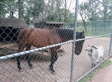 new-jersey/central-jersey/attraction/johnson-park