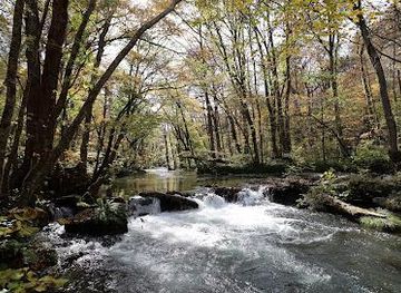 japan/aomori/attraction/oirase-keiryu-gorge