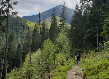 poland/tatra-mountains/attraction/waksmundzki-potok
