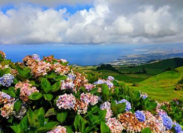 portugal/azores/attraction/plantacao-ananases-a-arruda