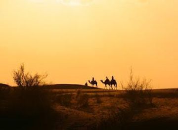 india/jaisalmer/attraction/neer-desert-camel-safari-jaisalmer