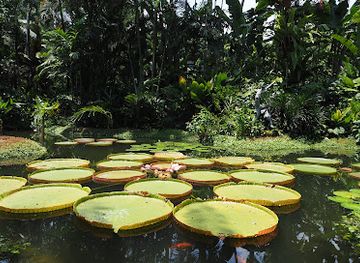 singapore/pulau-semakau/attraction/ginger-garden