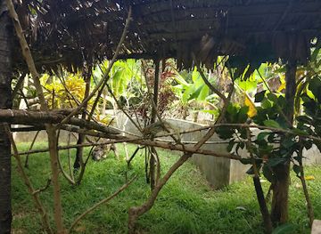madagascar/diana/attraction/lemuria-land