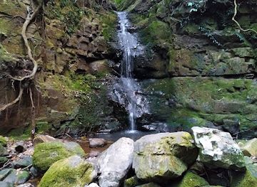 india/shillong/attraction/motinagar-falls