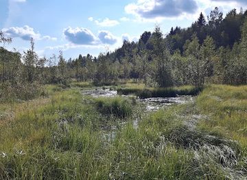 finland/jyvaskyla/attraction/sippulanniemen-nature-trail