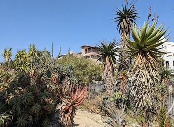 california/malibu/attraction/ucla-mathias-botanical-garden